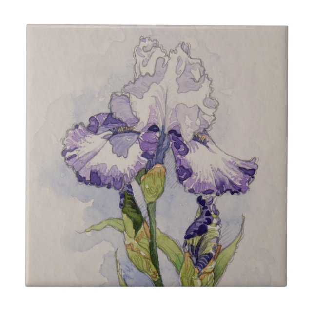 Carreau 5327 Iris violets et blancs (Devant)