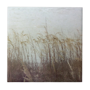 Carreau A travers les Dunes II