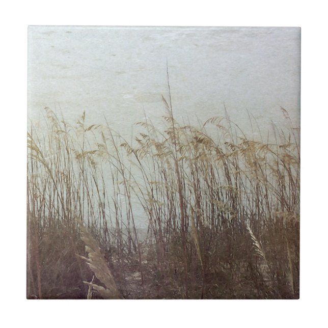 Carreau A travers les Dunes II (Devant)