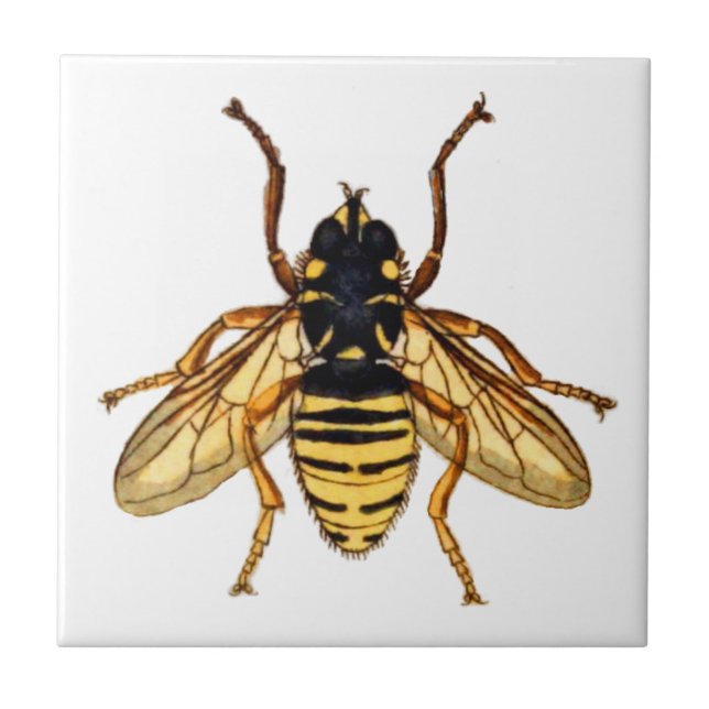Carreau Abeille jaune vintage de miel (Devant)