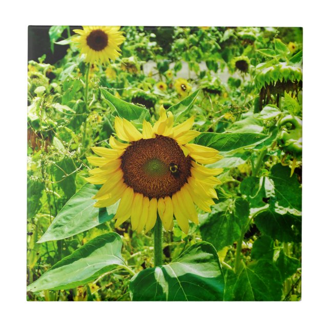 Carreau Abeille sur tournesol jaune (Devant)