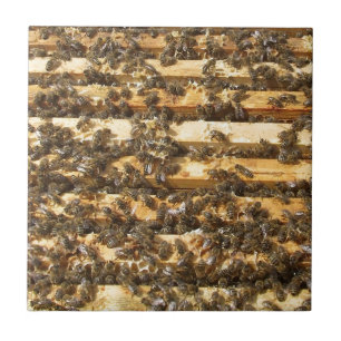 Carreau Abeilles de miel partout