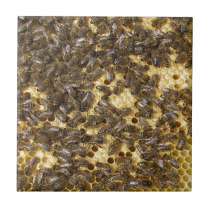 Carreau Abeilles de miel partout