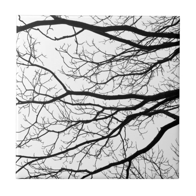 Carreau Abrégé sur branches d'arbre noir et blanc (Devant)