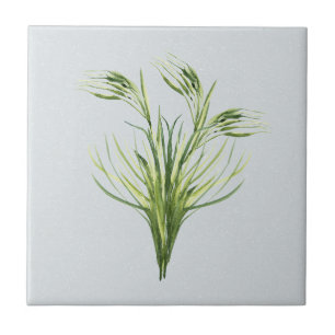 Carreau Accent de Herbe Sauvage bleu poussiéreux