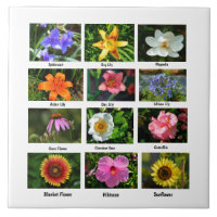 Affiche des fleurs de macro