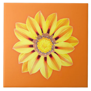 Carreau African Daisy / Gazania - Orange et Jaune