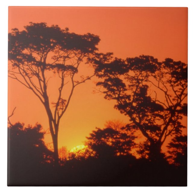 Carreau Afrique du Sud. Coucher de soleil africain. (Devant)