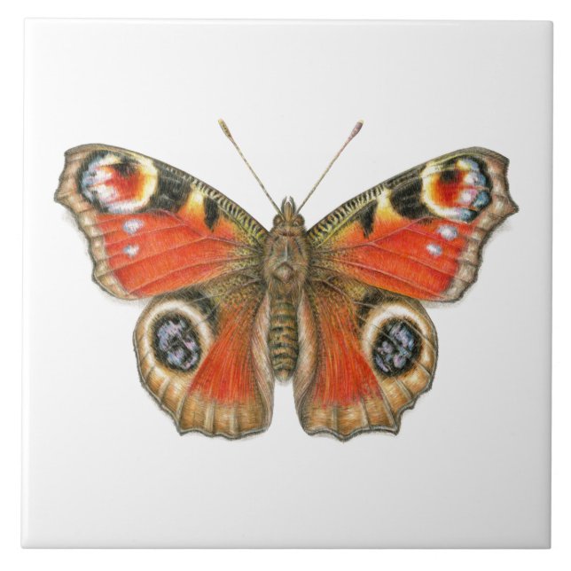 Carreau Aglais E/S - Papillon de paon en céramique (Devant)
