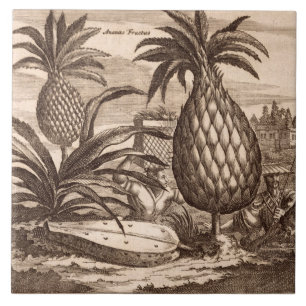 Carreau Agriculture de grands ananas, illustration d'un
