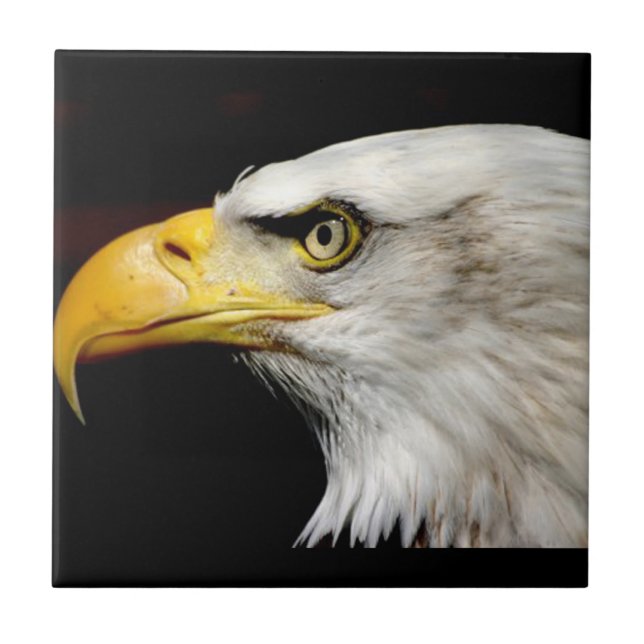 Carreau Aigle de Bald (Devant)