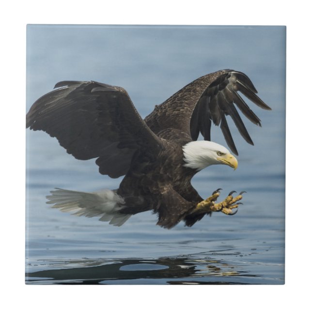 Carreau Aigle en approche (Devant)