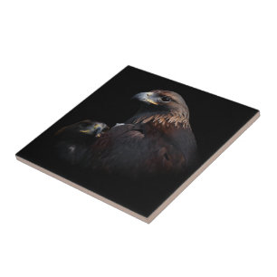 Carreau Aigles d'or : Beautés à travers les bars