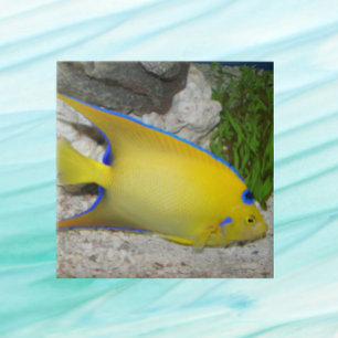 Carreau Aiguille jaune et bleu
