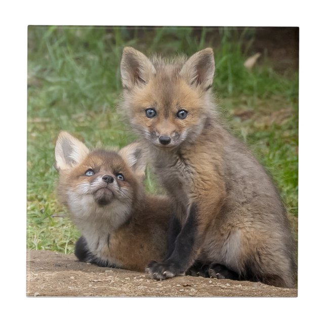 Carreau Aimer les yeux (Devant)