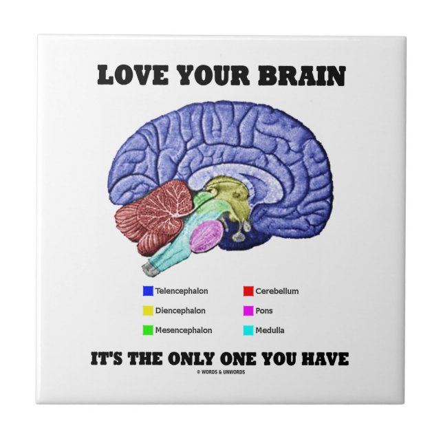 Carreau Aimez votre cerveau qu'il est le seul vous avez (Devant)