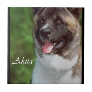 Carreau Akita Art