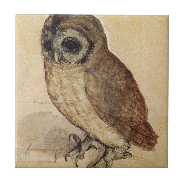 Carreau Albrecht Durer - La Petite Chouette (Devant)