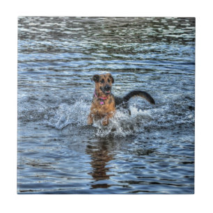 Carreau Alsacien berger allemand chien amoureux cadeau