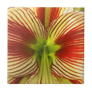 Carreau Amaryllis de papillon