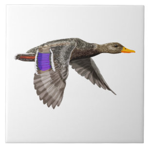 Carreau Amateurs de canard de Mallard