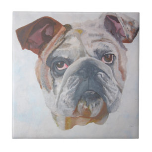 Carreau American Bulldog Artistic Pet Portrait