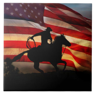 Carreau American Cowboy Pays Western Horse