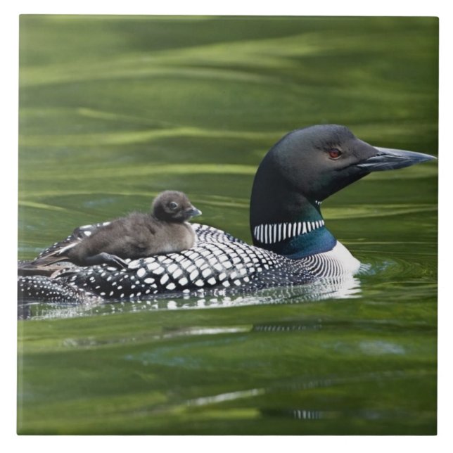 Carreau Amérique du Nord, Canada, Colombie-Britannique, La (Devant)