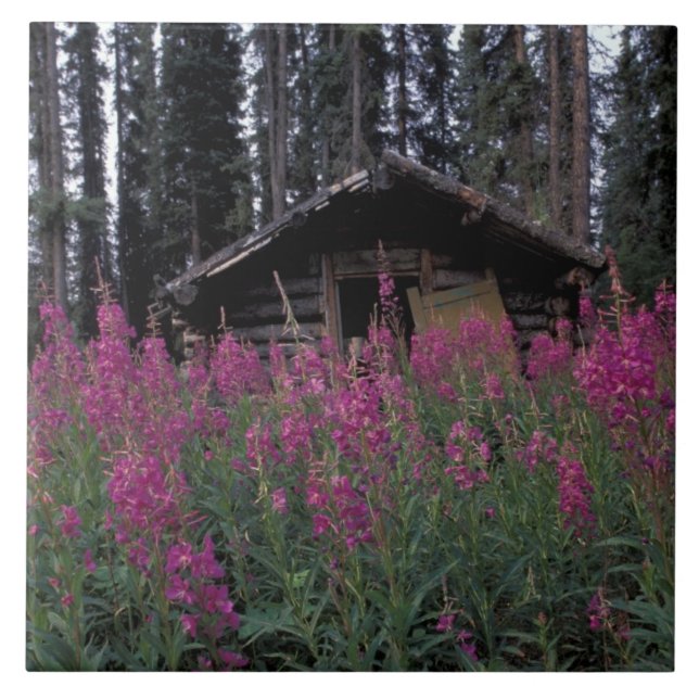 Carreau Amérique du Nord, Canada, Yukon. Capteurs abandonn (Devant)