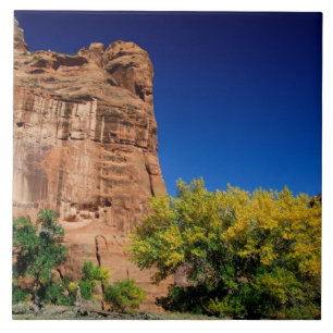 Carreau Amérique du Nord, États-Unis, Arizona, Navajo In