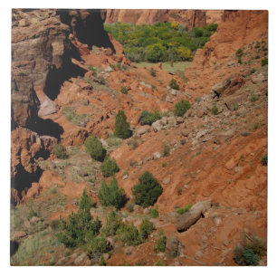 Carreau Amérique du Nord, États-Unis, Arizona, Navajo In