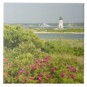 Carreau Amérique du Nord, États-Unis, Massachusetts, Mar