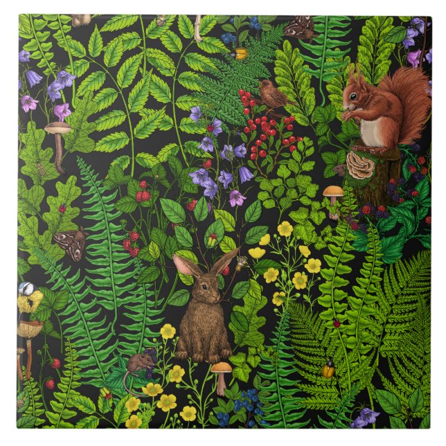 Carreau Amimies et plantes des bois (Devant)