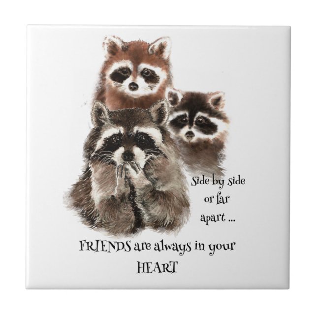 Carreau Amis dans votre coeur Citation Raccoon Humour anim (Devant)