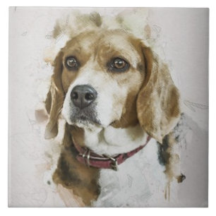 Carreau AMOUR beagle, Animal de famille, Chien Secouru, Me
