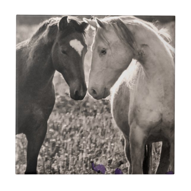 Carreau Amour de cheval (Devant)