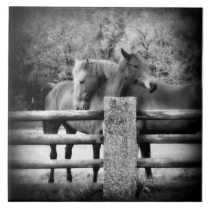 Carreau Amour de cheval - paire de chevaux dans l'étreinte