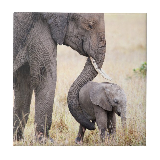 Carreau Amour maternel (Devant)