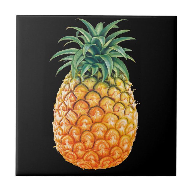 CARREAU ANANAS (Devant)