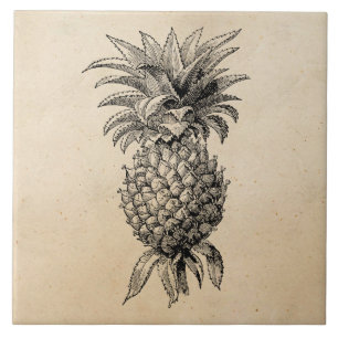 Carreau Ananas à illustration d'ananas Vintage des année