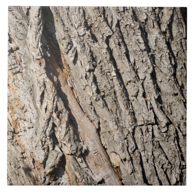 Carreau Ancien motif de tronc (Devant)