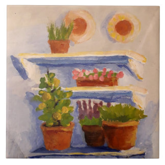 Carreau Ancien Pays Français Rayons Extérieurs Ensoleillés