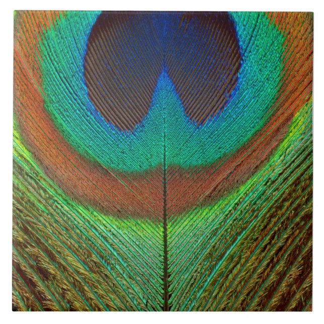 Carreau Animal - oiseau - plume de paon (Devant)