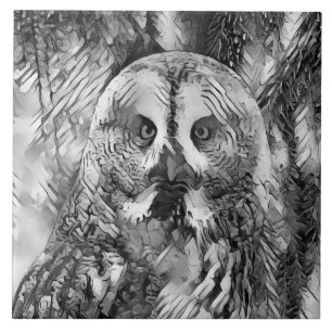 Carreau AnimalArtBW_Owl_001