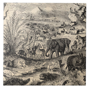 Carreau Animaux animaux africains d'illustration de 1800s