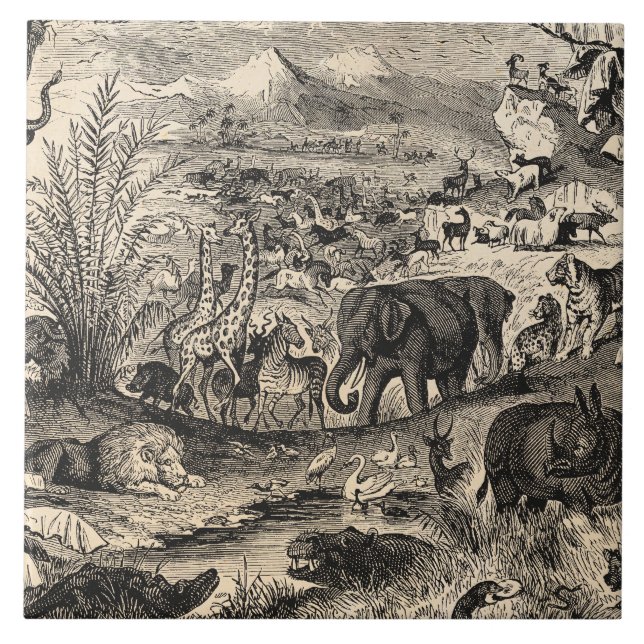 Carreau Animaux animaux africains d'illustration de 1800s (Devant)