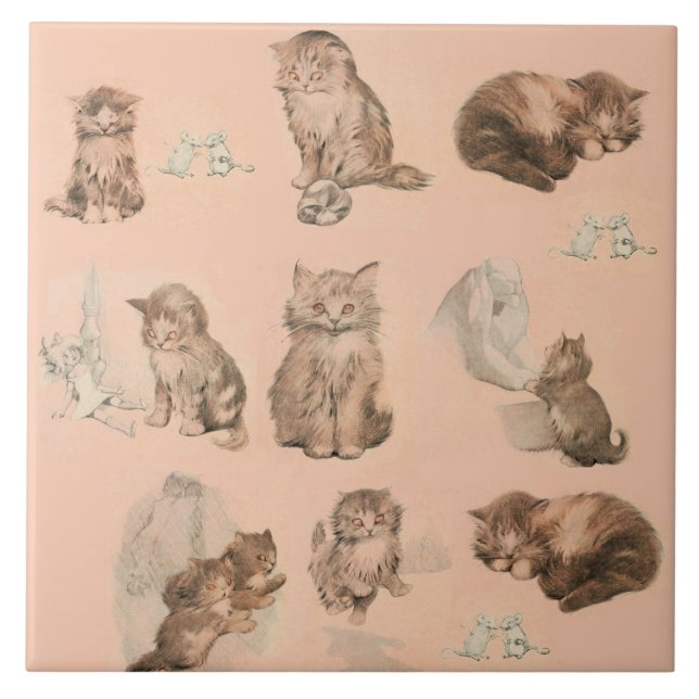 CARREAU ANIMAUX CUTES / HISTOIRES DE CHAT ET SOURIS EN ROS (Devant)