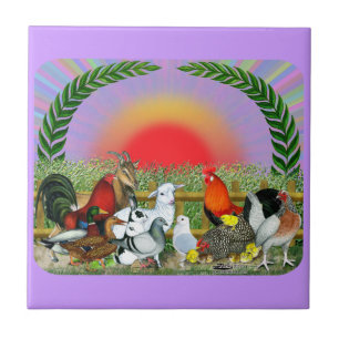 Carreau Animaux de ferme