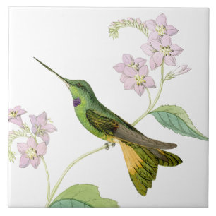 Carreau Animaux floraux de faune de fleurs d'oiseaux de