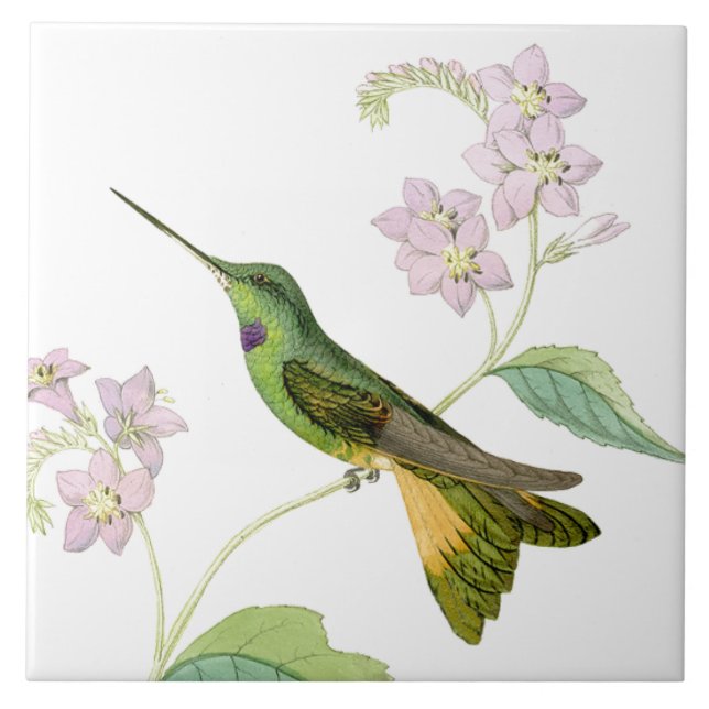 Carreau Animaux floraux de faune de fleurs d'oiseaux de (Devant)